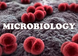 Benefits of Microbiology programme