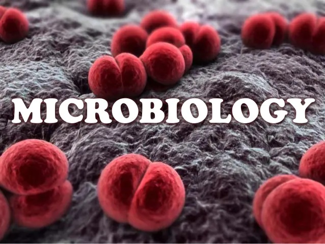 Benefits of Microbiology programme